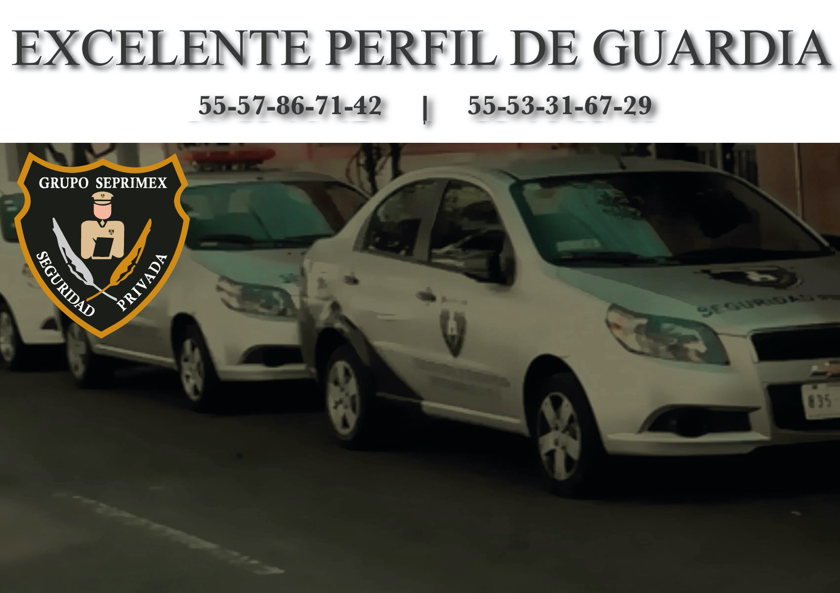 Excelente Perfil de Guardia de Seguridad
